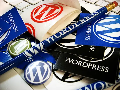 Newsletter: All About WordPress